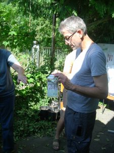 Veredelung von Apfelbäumen im Sommer