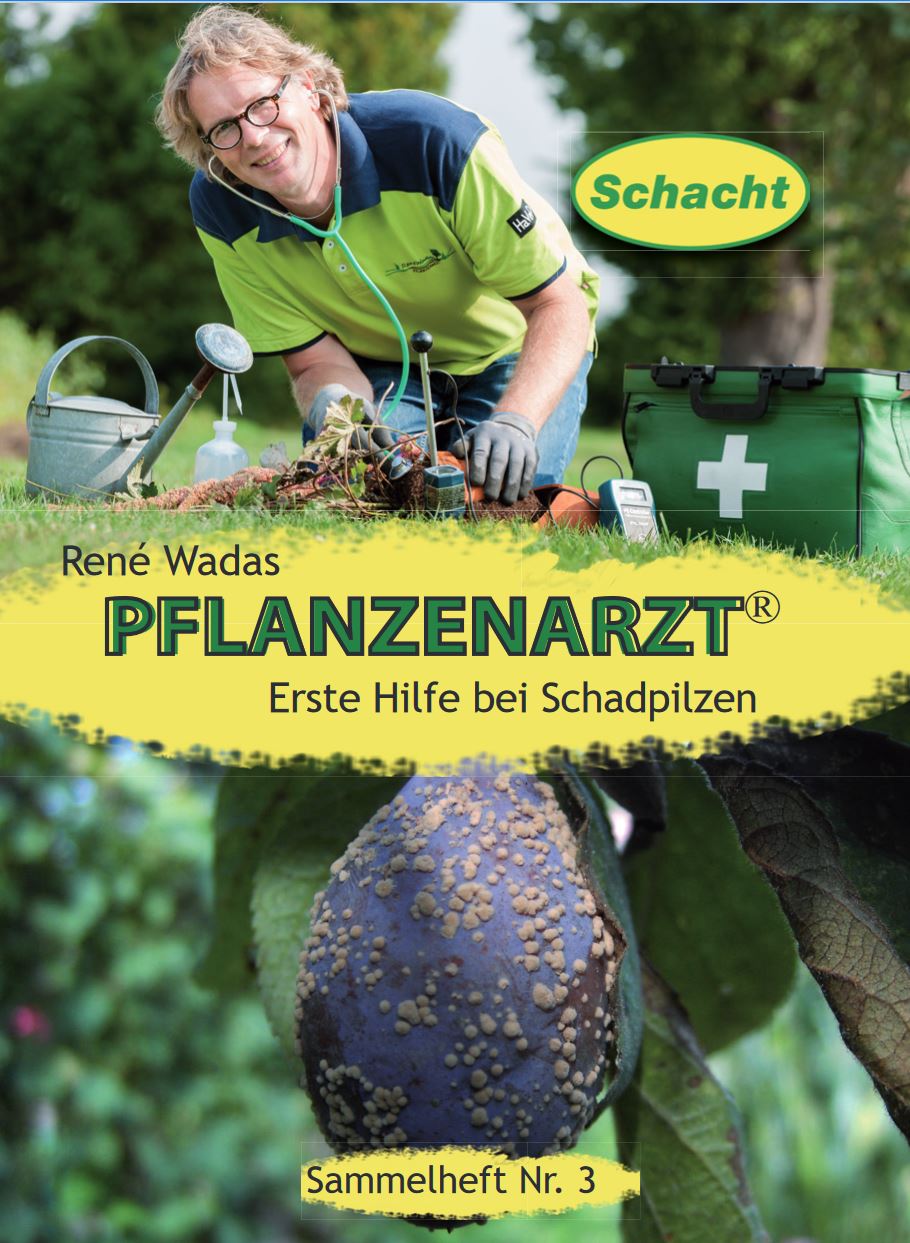 Wie kann ich Pflanzen natürlich schützen