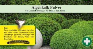 Die nächste Generation Buchsbaumzünsler