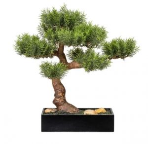 Bonsai