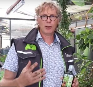 Green Power Neem für die perfekte Ernährung aller Pflanzen.