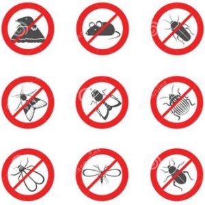 Der Pflanzenarzt erklärt Schädlinge