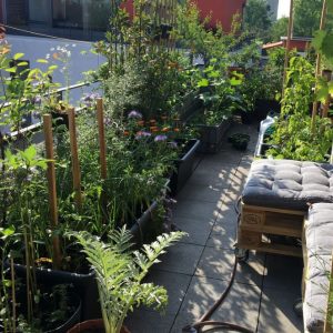 Urban Gardening und Selbstversorger
