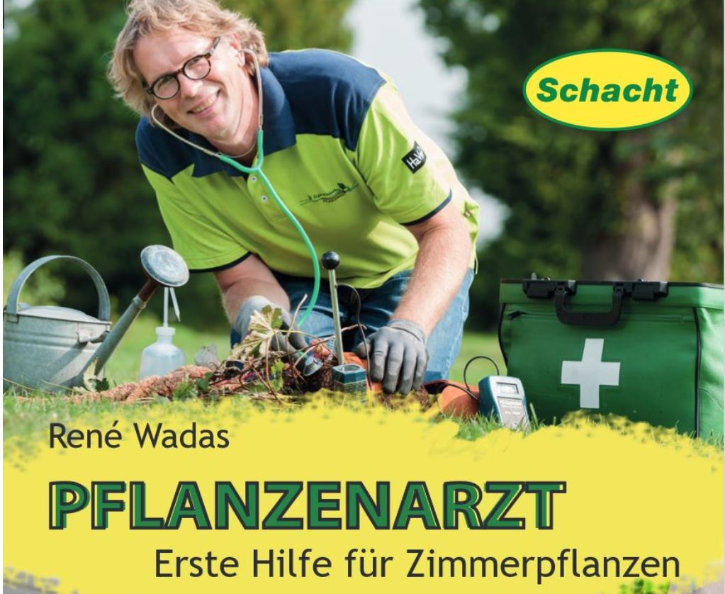 Zimmerpflanzen Düngen und Gießen