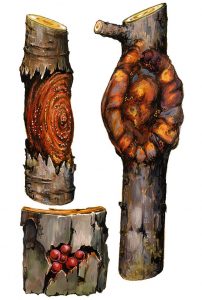 Baumkrebs am Apfelbaum