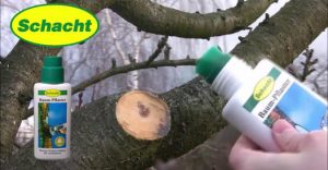 Baumwunden natürlich verschließen – Baum-Pflaster in der praktischen Pinselflasche