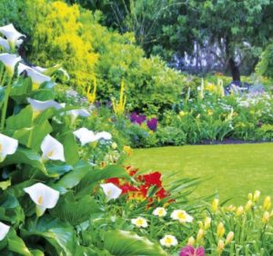 Gartenarbeit im Frühling