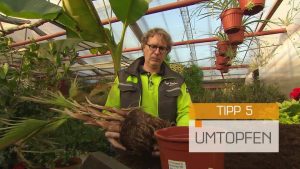 Im Garten halten die meisten “Plagegeister” gerade ihre wohlverdiente Winterruhe…