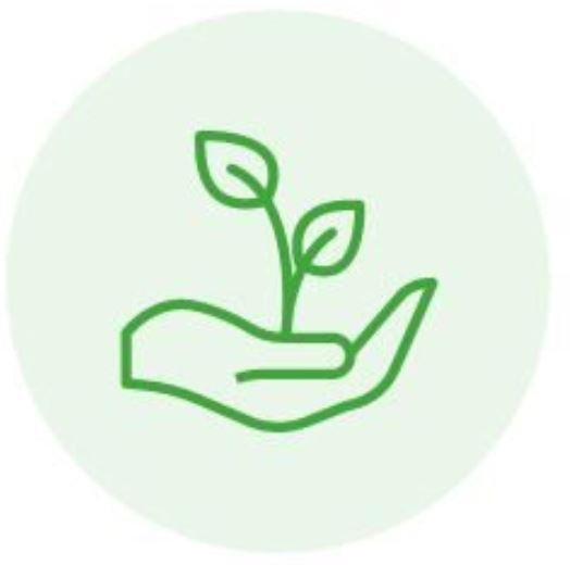 Vegane Alternativen zu Hornspänen im Garten