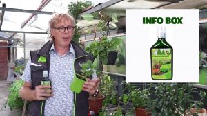 Green Power Neem: Dünger und Hilfe bei Schädlingsbefall