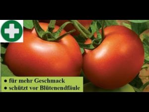 Tomatenzauber