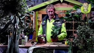 “Pflanzenarzt-Sprechstunde”: Dünger aufbewahren