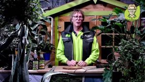 “Pflanzenarzt-Sprechstunde”: Zimmerpflanzen natürlich pflegen