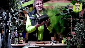 “Pflanzenarzt-Sprechstunde”: natürlich umtopfen