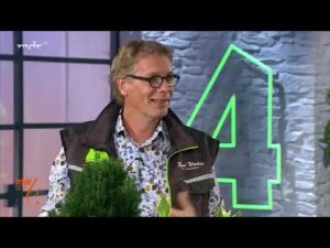 “MDR um vier”: Hecken: Pflanzen, schneiden, pflegen