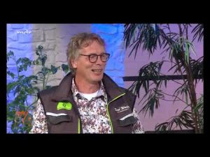 “MDR um vier”: Tipps zur natürlichen Pflanzenpflege