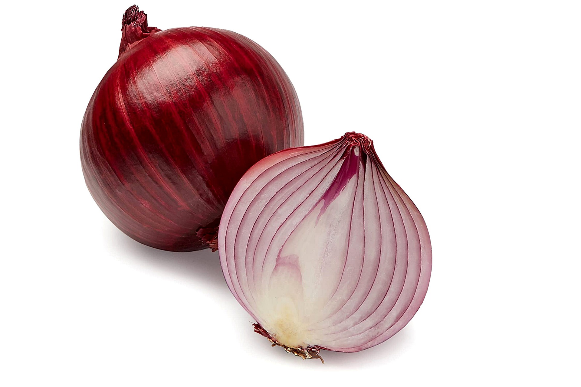 Zwiebel im Garten: Tee und Knoblauch-Mix gegen Pilzkrankheiten an Rosen