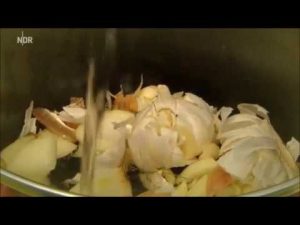 Schrotschusskrankheit und Spinnmilben