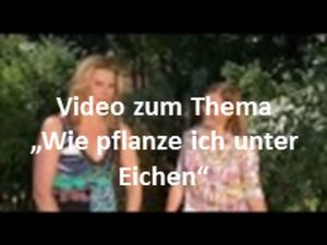 Algenkalk für Eichen