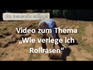 Rollrasen verlegen