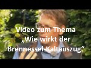 Brennnesseln gegen die Buchenblattlaus