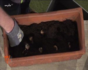 Vorbereitung auf die neue Gartensaison im Herbst