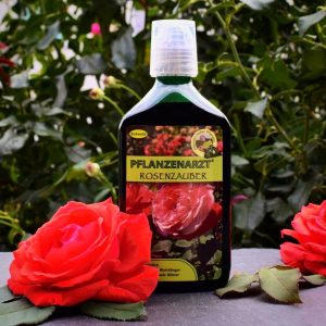 Wer starke Rosenpflanzen fürs nächste Jahr haben möchte, der sollte am besten je…