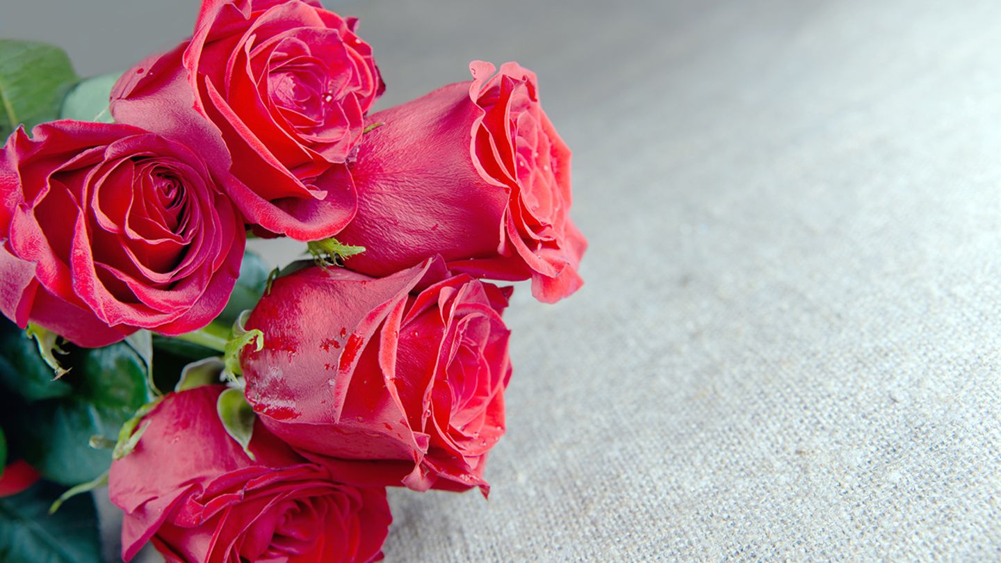 Blumenstrauß von Valentinstag pflegen