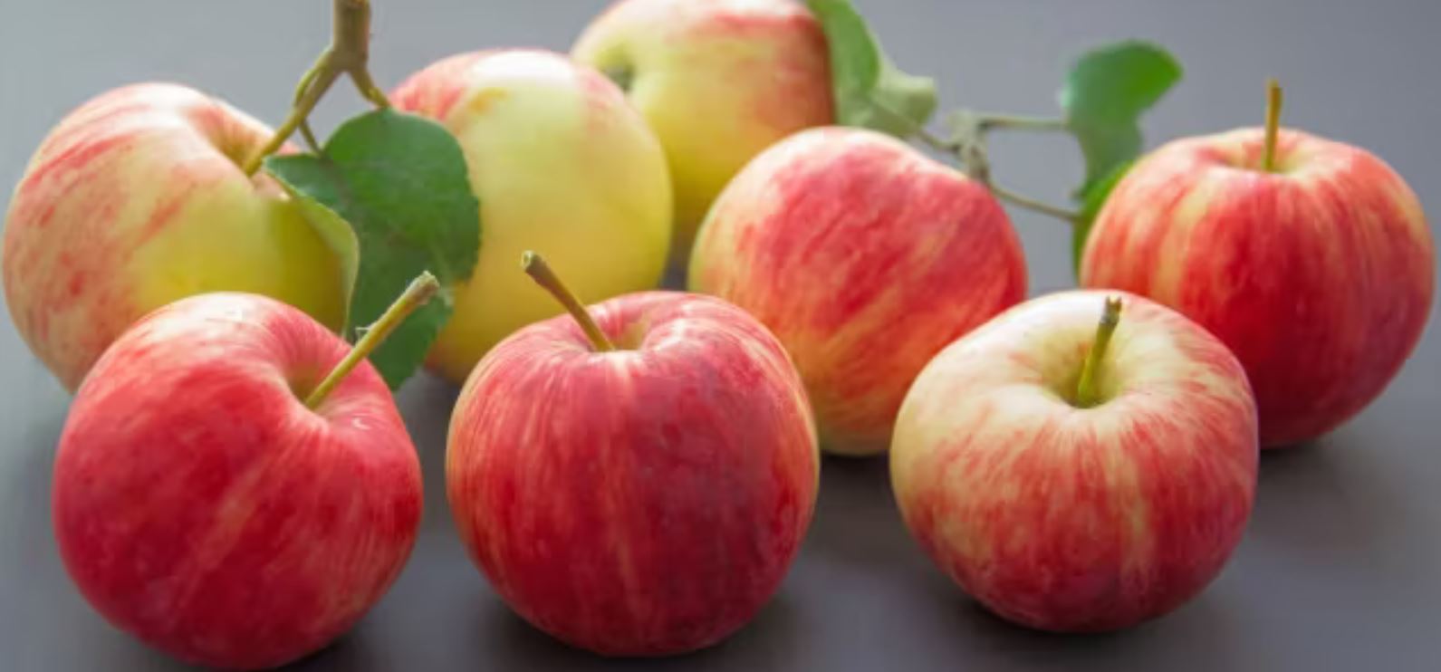 Erntezeitpunkt für Äpfel