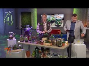 DER GARTEN IN DER FLASCHE