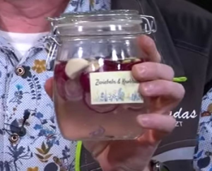 Biologischer Pflanzenschutz