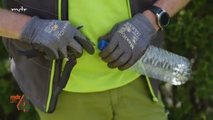 Thuja hat braune Stellen