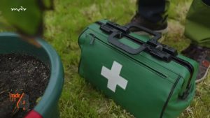 Braune Bätter bei Topfpflanzen