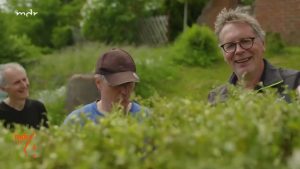 Buchsbaumzünsler bekämpfen