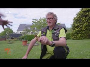 Hilfreiche Gartentipps vom Pflanzenarzt