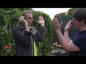 Ligusterhecke schneiden