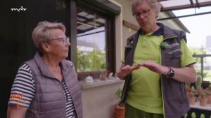 wie blühen Orchideen schneller