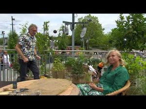 Obstbäume auf dem Balkon