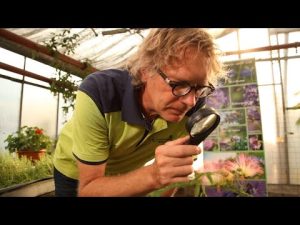 Deutschlands einzige Klinik für Pflanzen