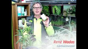 Wasserspeicher im Balkonkasten