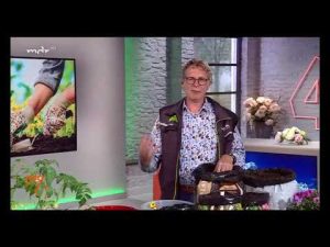 MDR um vier: Kaffee als natürlicher Dünger