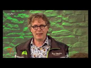 “MDR um 4”: Palmen nach dem Winter