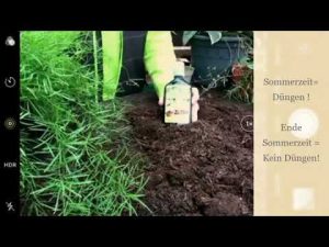 Zimmerpflanzen natürlich pflegen und schützen