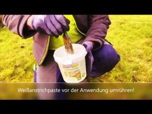 Natürlicher Frostschutz für Obstbäume