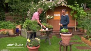 Schnecken natürlich vertreiben