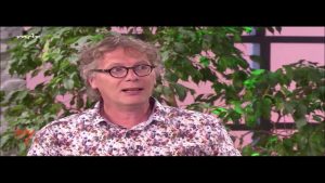 “MDR um vier”: Blattläuse – Befall natürlich reduzieren