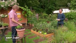 Stechmücken natürlich vertreiben