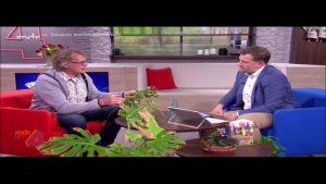 “MDR um vier”: Spinnmilben natürlich vertreiben