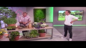 “MDR um vier”: Insekten: Schädlinge mit Nützlingen natürlich vertreiben