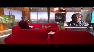 Kirschfruchtfliegen: Madenbefall natürlich reduzieren